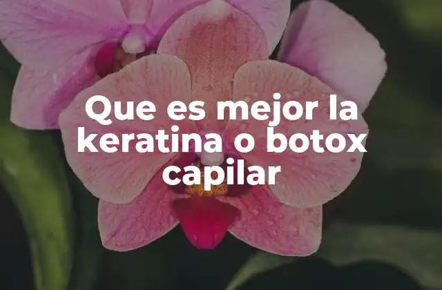 Que es Mejor la Keratina o Botox Capilar 2 Tratamientos capilares para mejorar la apariencia del pelo
