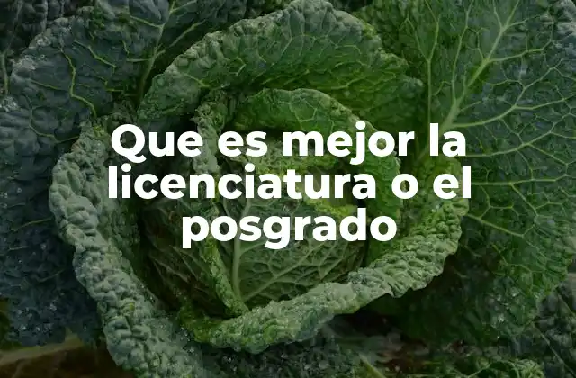 Que es Mejor la Licenciatura o el Posgrado