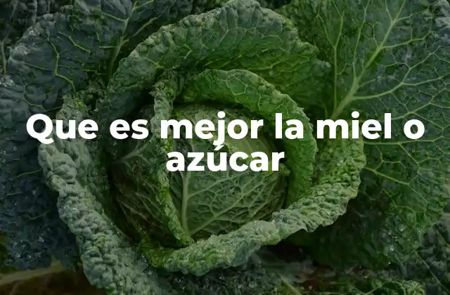 Que es Mejor la Miel o Azúcar