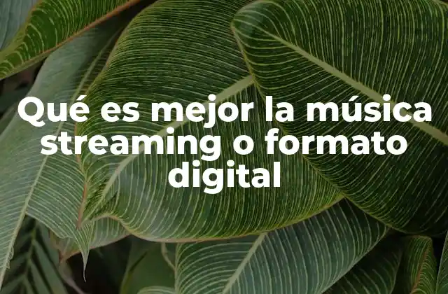 Qué es Mejor la Música Streaming o Formato Digital