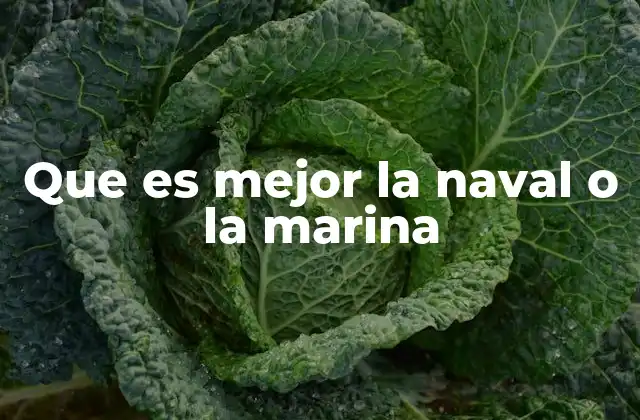 Que es Mejor la Naval o la Marina