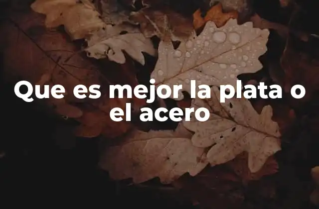 Que es Mejor la Plata o el Acero