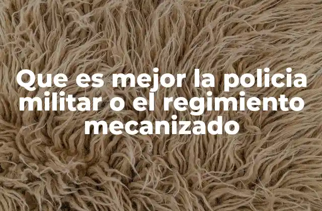 Que es Mejor la Policia Militar o el Regimiento Mecanizado