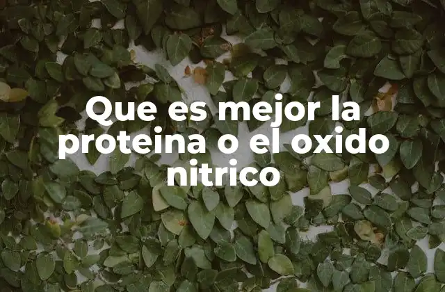 Que es Mejor la Proteina o el Oxido Nitrico