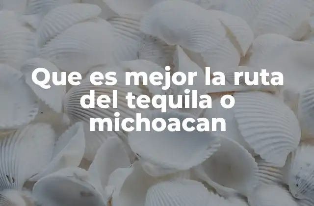Que es Mejor la Ruta Del Tequila o Michoacan