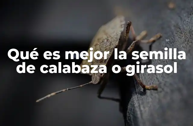 Qué es Mejor la Semilla de Calabaza o Girasol