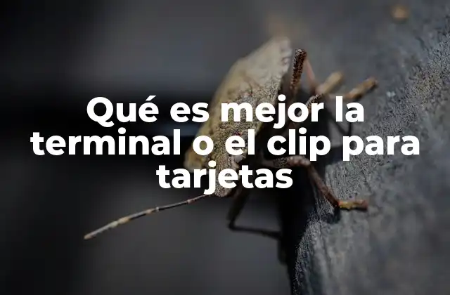 Qué es Mejor la Terminal o el Clip para Tarjetas