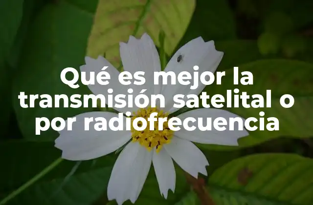 Qué es Mejor la Transmisión Satelital o por Radiofrecuencia