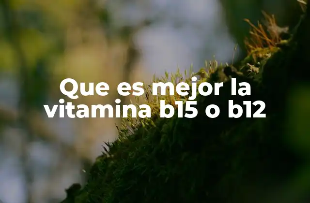 Que es Mejor la Vitamina B15 o B12