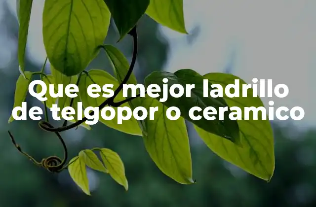 Que es Mejor Ladrillo de Telgopor o Ceramico