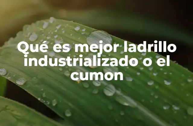 Qué es Mejor Ladrillo Industrializado o el Cumon