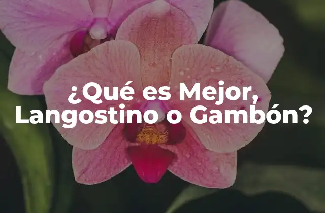 ¿qué es Mejor, Langostino o Gambón?