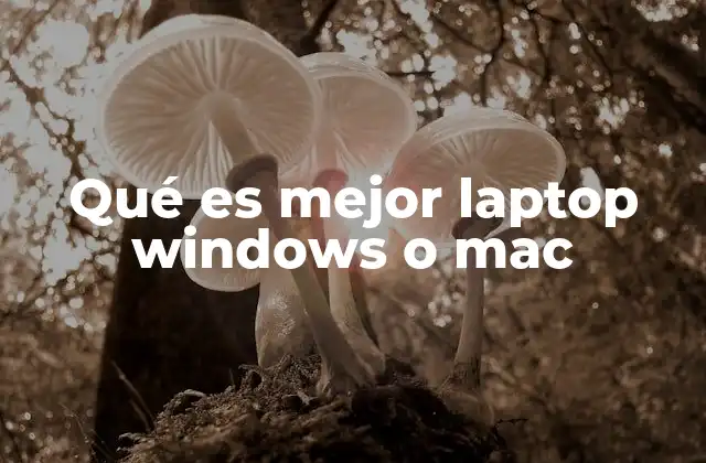Qué es Mejor Laptop Windows o Mac