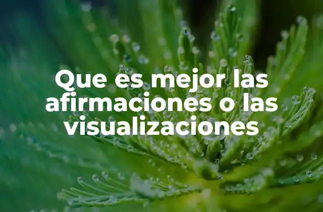 ¿Cómo funcionan las afirmaciones y las visualizaciones?