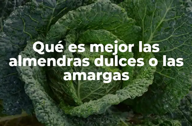 Qué es Mejor las Almendras Dulces o las Amargas