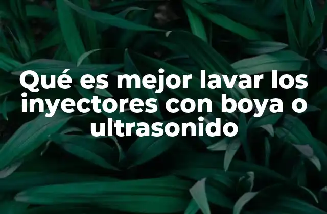 Qué es Mejor Lavar los Inyectores con Boya o Ultrasonido