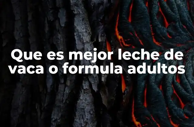 Que es Mejor Leche de Vaca o Formula Adultos