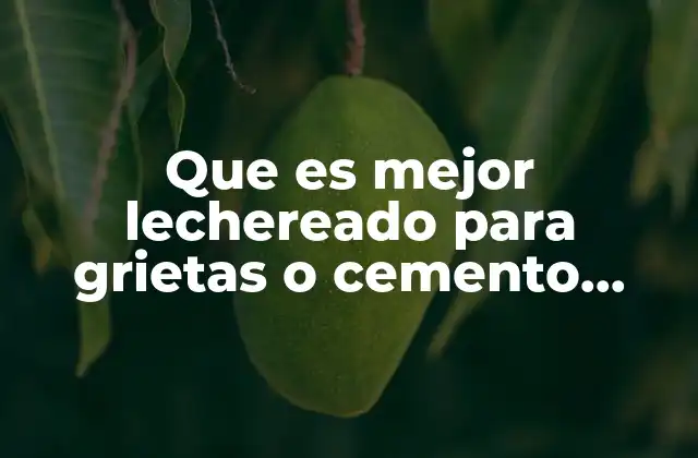 Que es Mejor Lechereado para Grietas o Cemento Acrilico