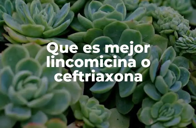 Comparación clínica entre dos antibióticos de amplio espectro