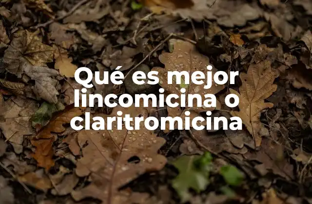 Qué es Mejor Lincomicina o Claritromicina