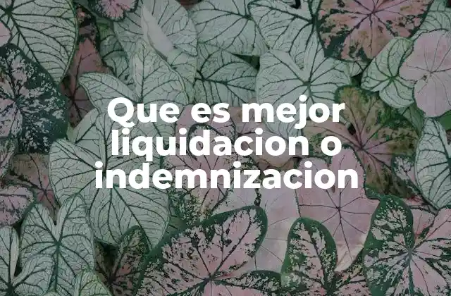 Que es Mejor Liquidacion o Indemnizacion