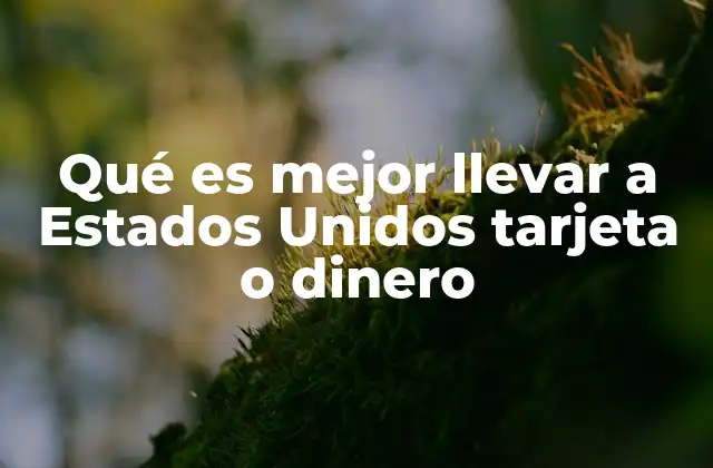 Qué es Mejor Llevar a Estados Unidos Tarjeta o Dinero