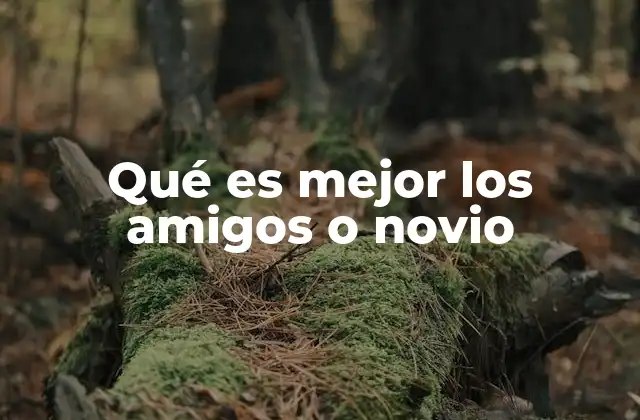 Qué es Mejor los Amigos o Novio