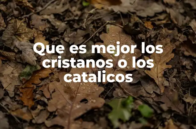 Que es Mejor los Cristanos o los Catalicos
