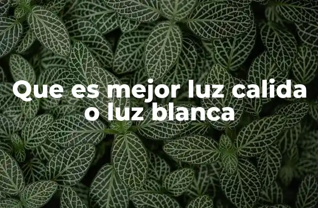 Que es Mejor Luz Calida o Luz Blanca