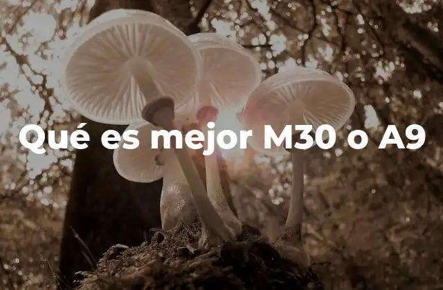 Qué es Mejor M30 o A9
