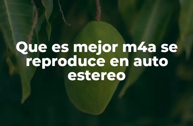 Que es Mejor M4a Se Reproduce en Auto Estereo
