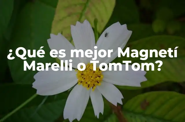 ¿qué es Mejor Magnetí Marelli o Tomtom?