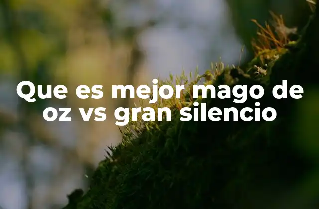 Que es Mejor Mago de Oz Vs Gran Silencio