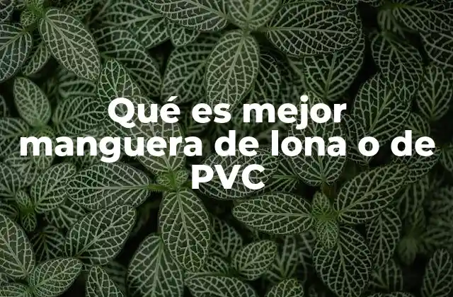Qué es Mejor Manguera de Lona o de Pvc