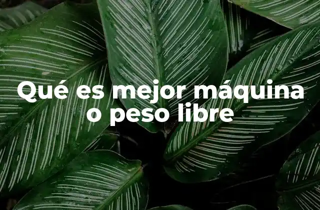 Qué es Mejor Máquina o Peso Libre