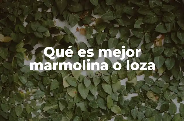 Qué es Mejor Marmolina o Loza