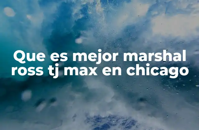 Diferencias entre las tiendas de descuentos en Chicago