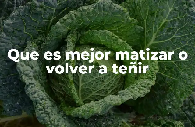 Que es Mejor Matizar o Volver a Teñir