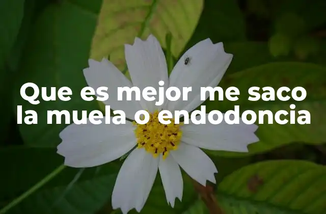 Que es Mejor Me Saco la Muela o Endodoncia