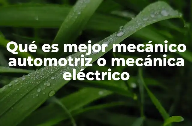 Qué es Mejor Mecánico Automotriz o Mecánica Eléctrico