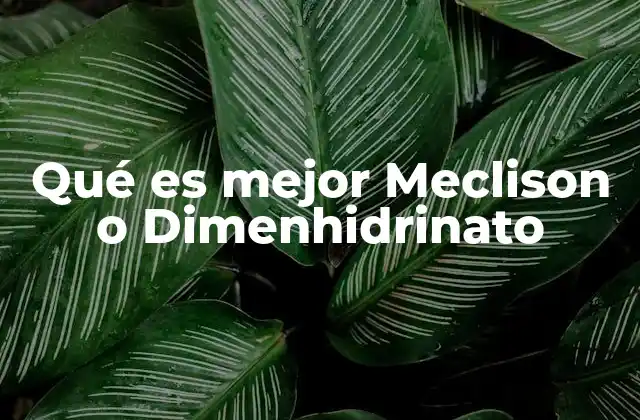 Qué es Mejor Meclison o Dimenhidrinato