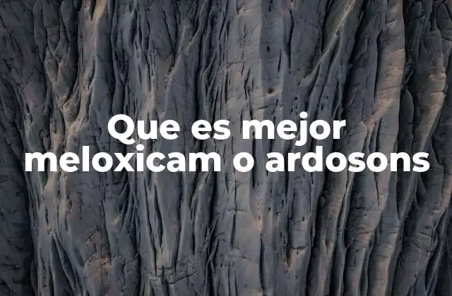 Que es Mejor Meloxicam o Ardosons