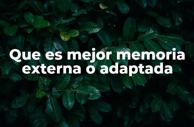 Que es Mejor Memoria Externa o Adaptada
