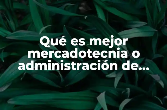 Qué es Mejor Mercadotecnia o Administración de Inventarios y Almacenes