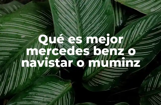 Qué es Mejor Mercedes Benz o Navistar o Muminz