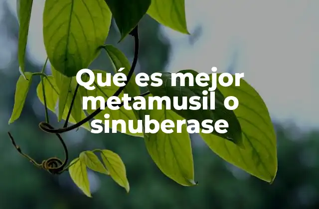 Qué es Mejor Metamusil o Sinuberase