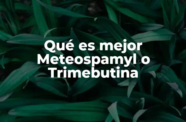 Qué es Mejor Meteospamyl o Trimebutina
