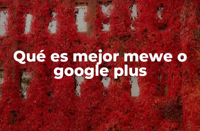 Qué es Mejor Mewe o Google Plus