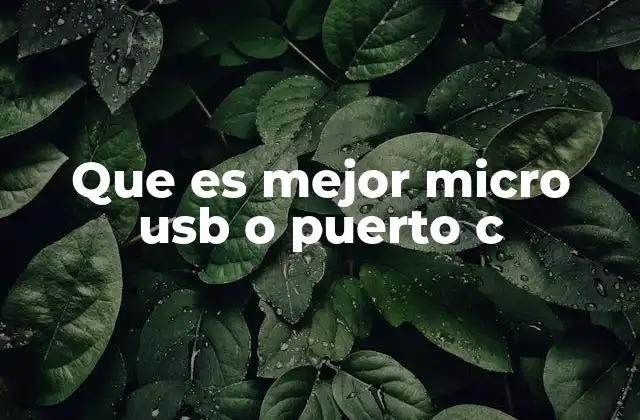 Que es Mejor Micro Usb o Puerto C