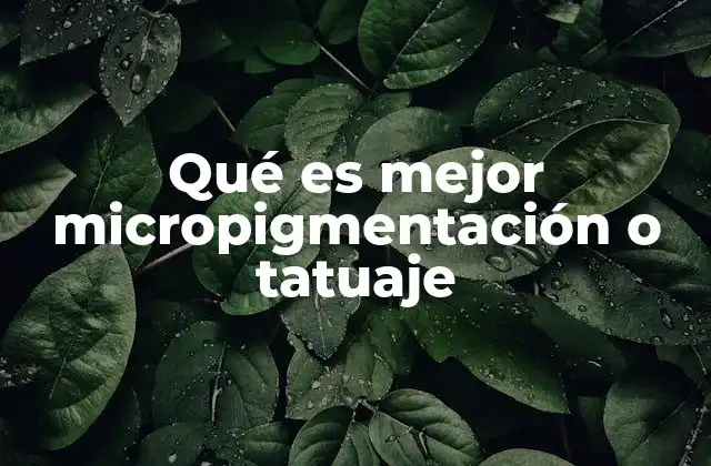 Qué es Mejor Micropigmentación o Tatuaje 2 Micropigmentación vs tatuaje: diferencias esenciales